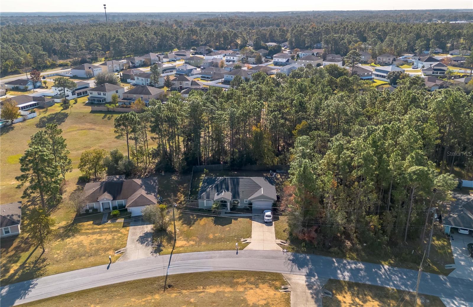 Image 41 of 46 For 49 Hemlock Trace