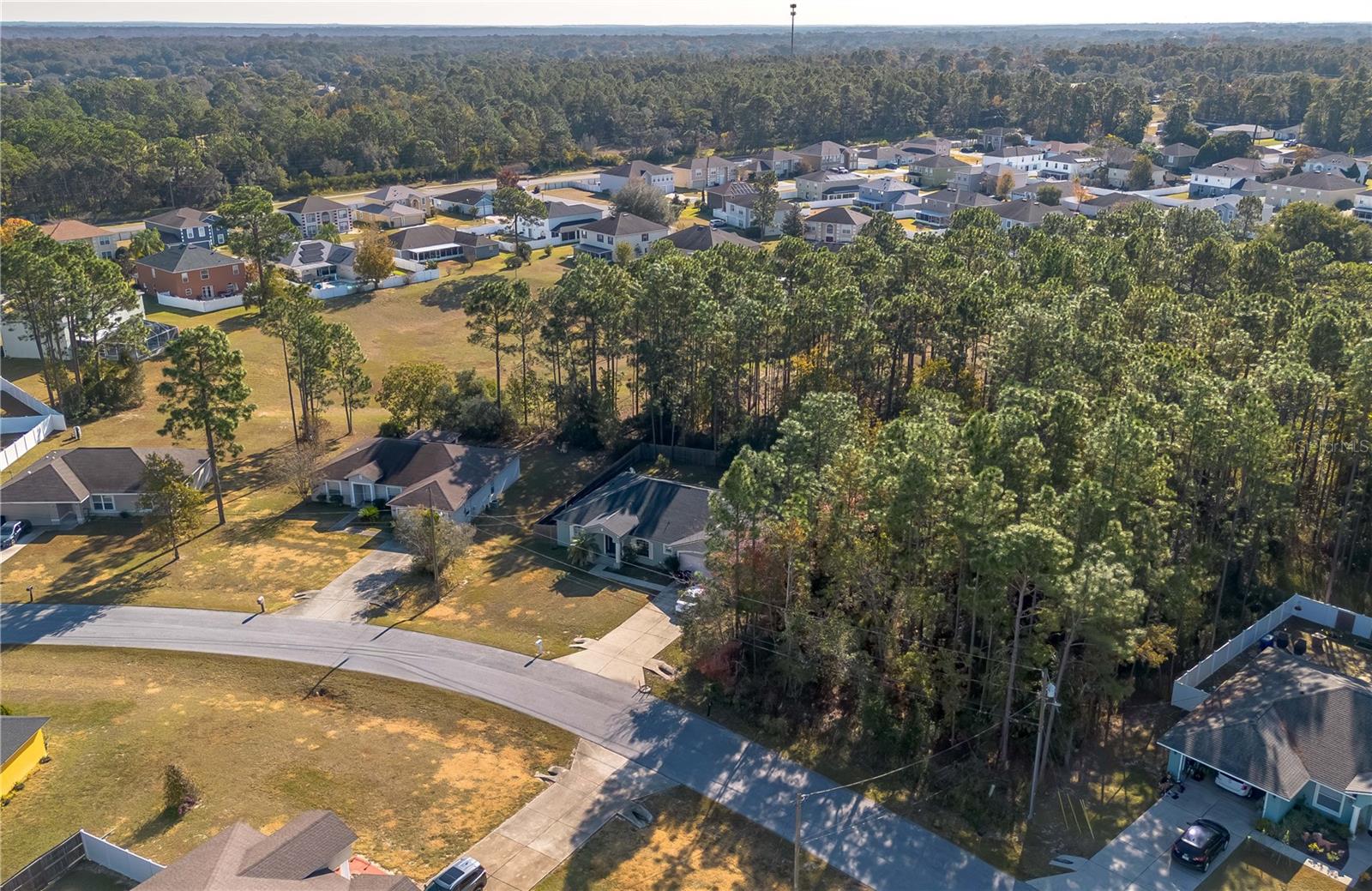 Image 42 of 46 For 49 Hemlock Trace