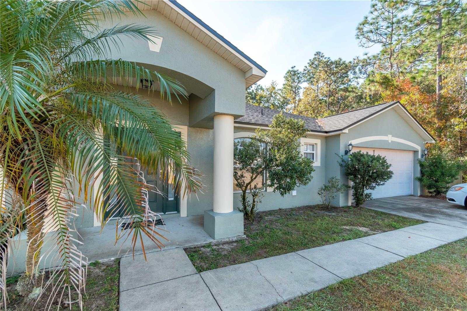 Image 7 of 46 For 49 Hemlock Trace