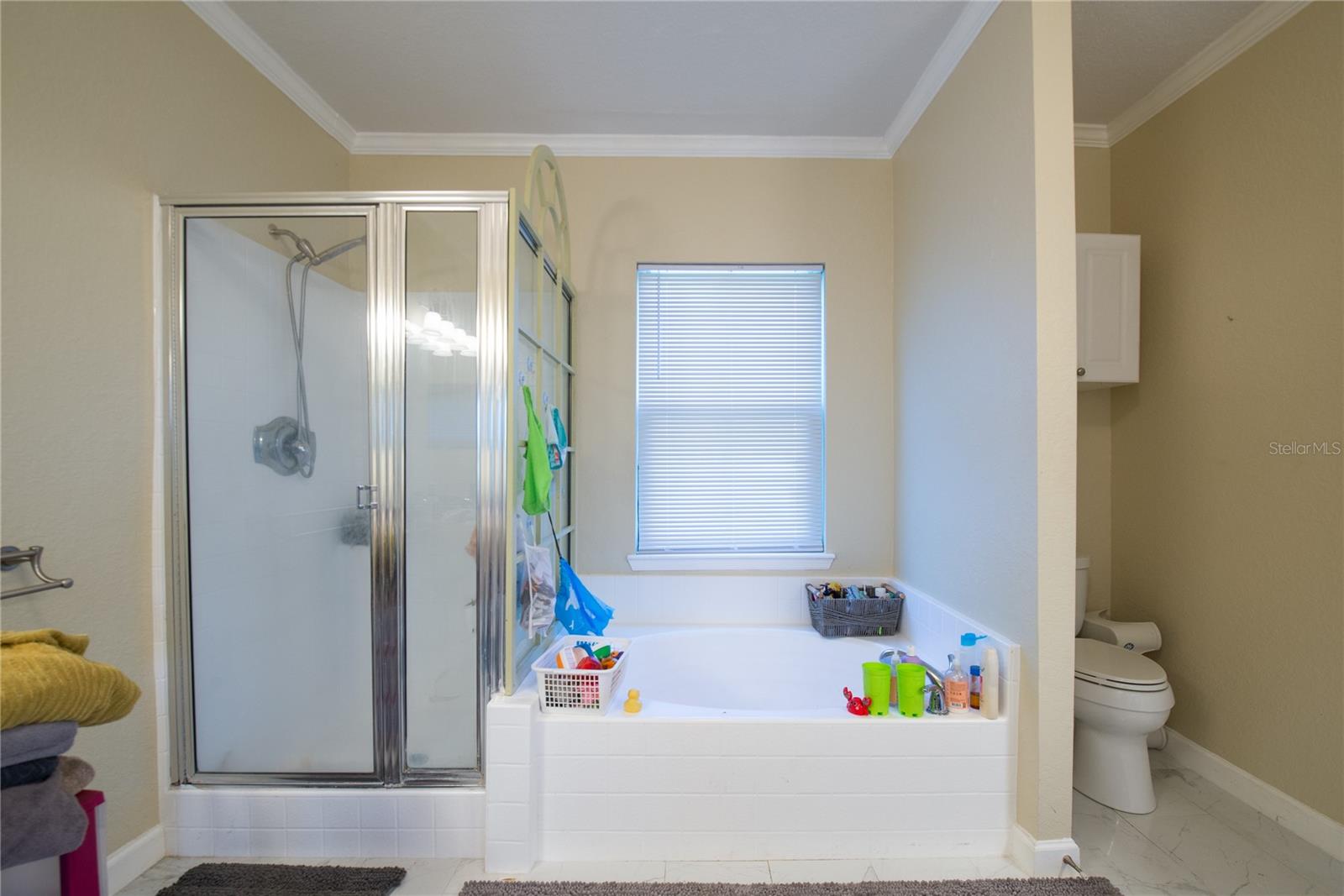 Listing photo id 27 for 2730 Via Tivoli  314b