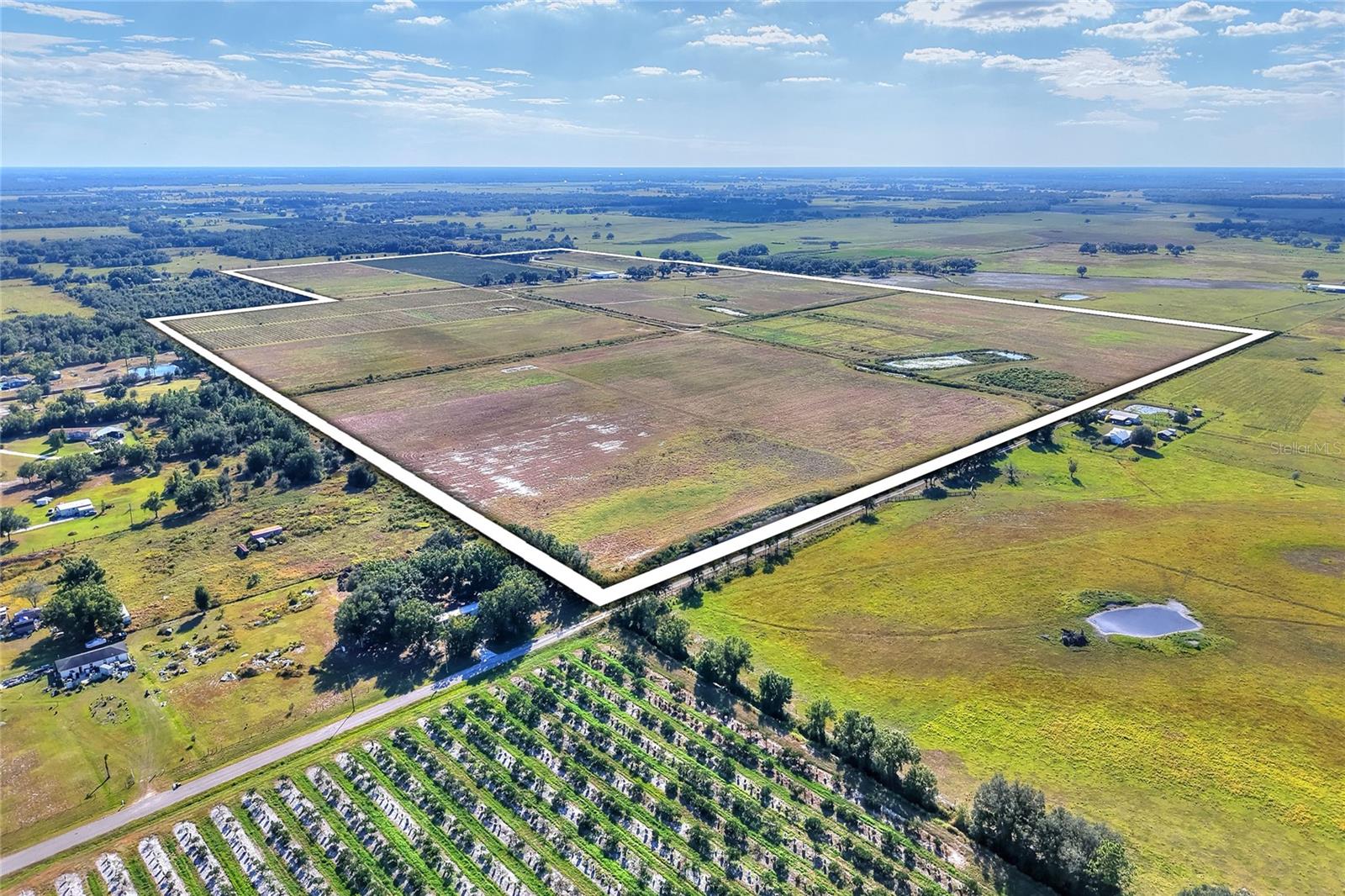 Image 3 of 100 For 6018 County Road 661a