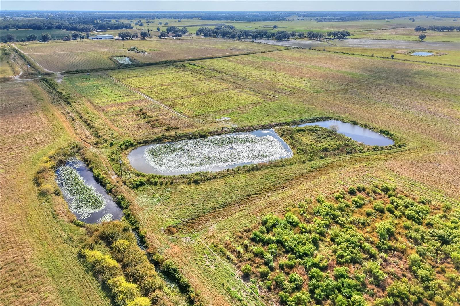 Image 44 of 100 For 6018 County Road 661a