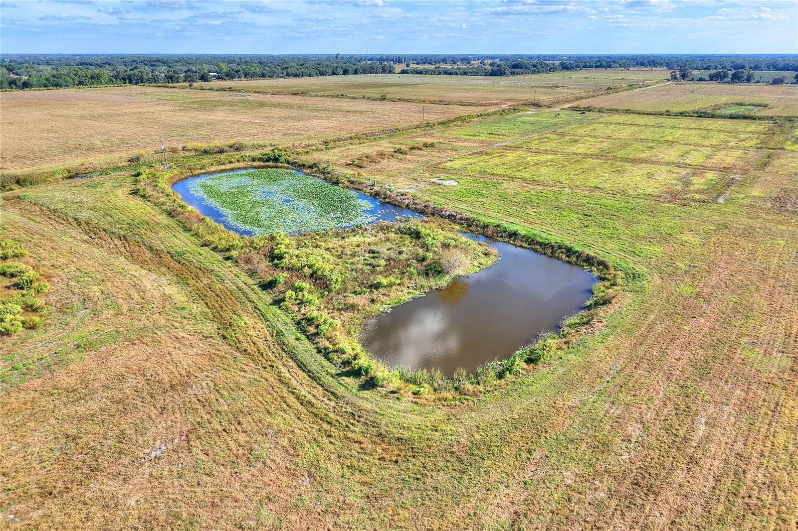 Image 45 of 100 For 6018 County Road 661a