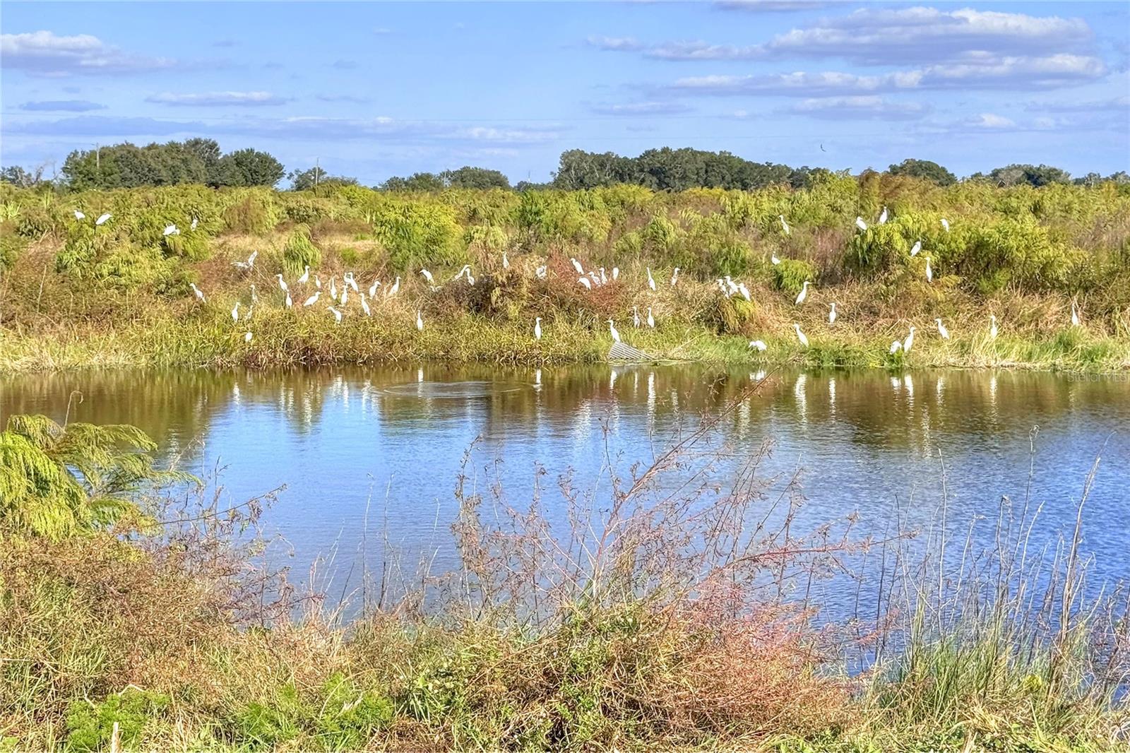 Image 46 of 100 For 6018 County Road 661a