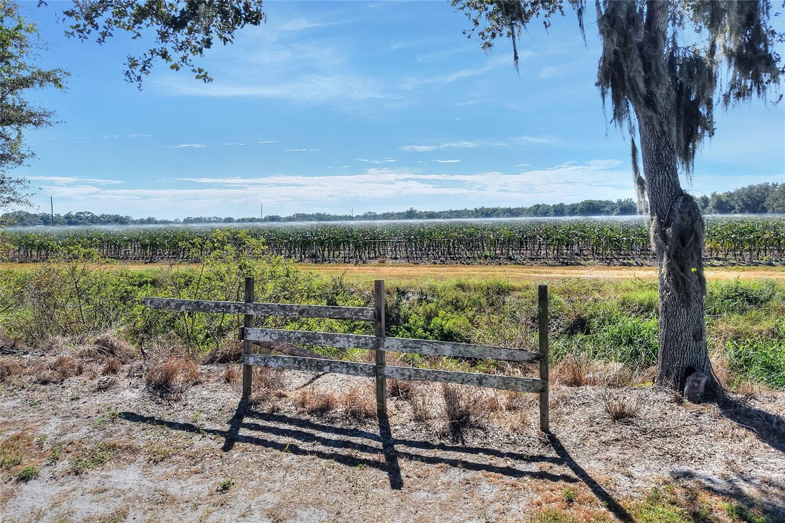 Image 57 of 100 For 6018 County Road 661a