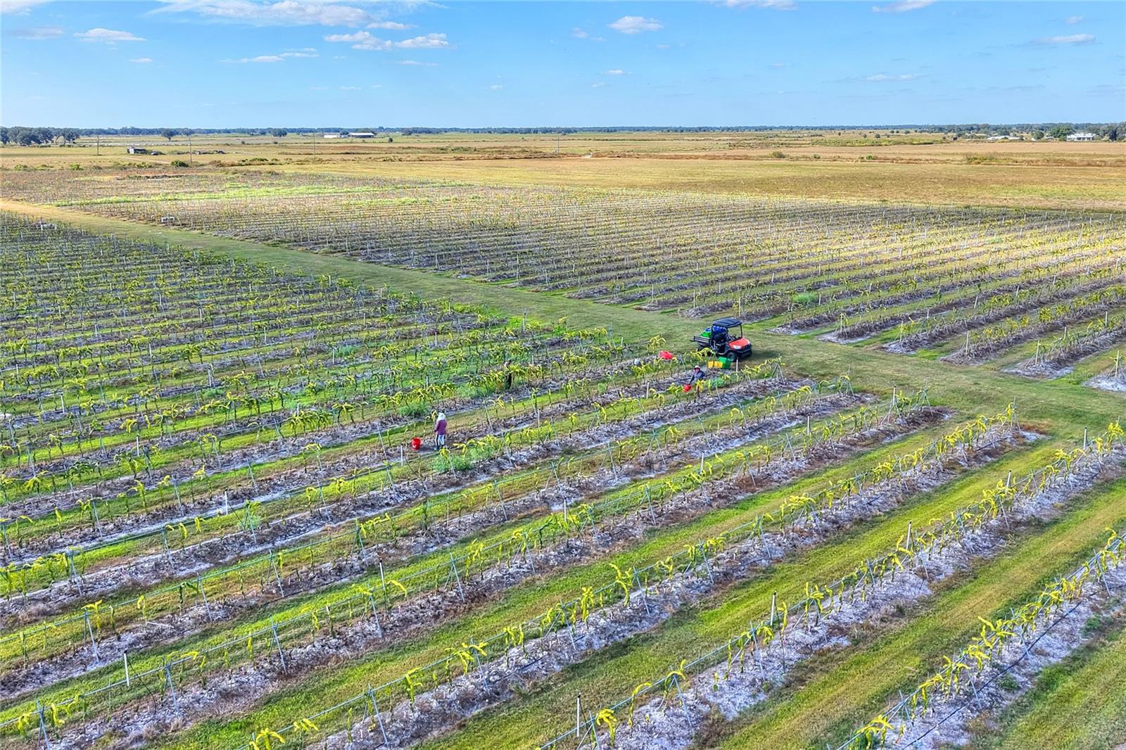 Image 59 of 100 For 6018 County Road 661a