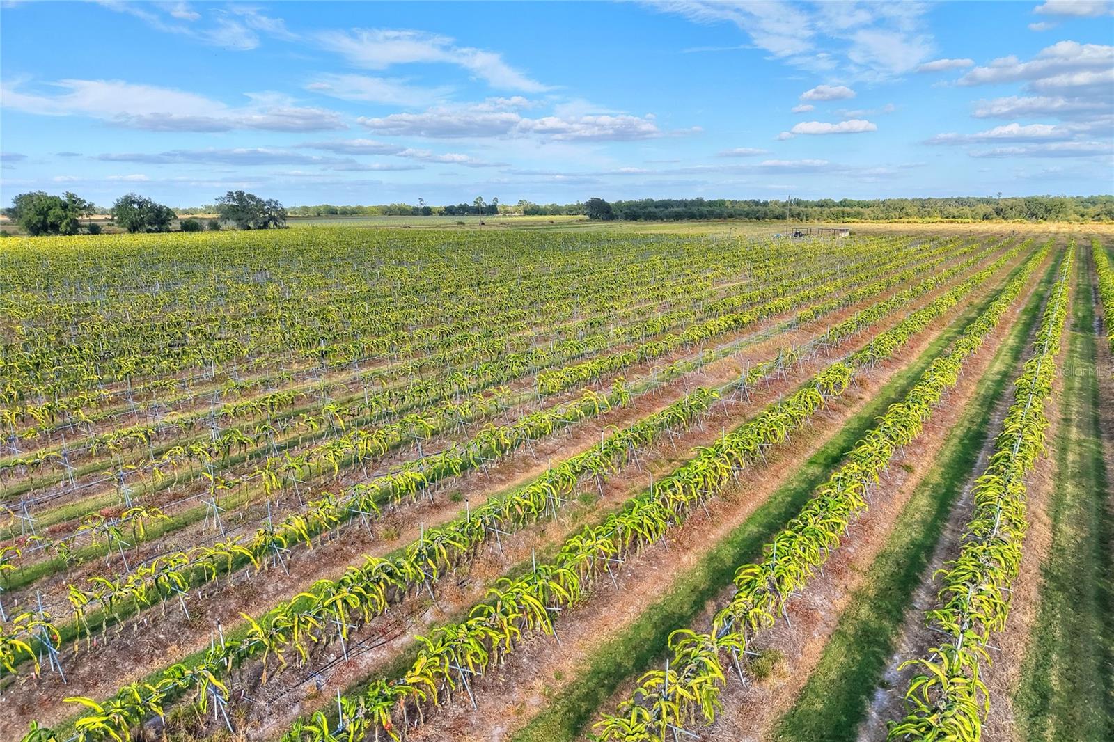 Image 60 of 100 For 6018 County Road 661a