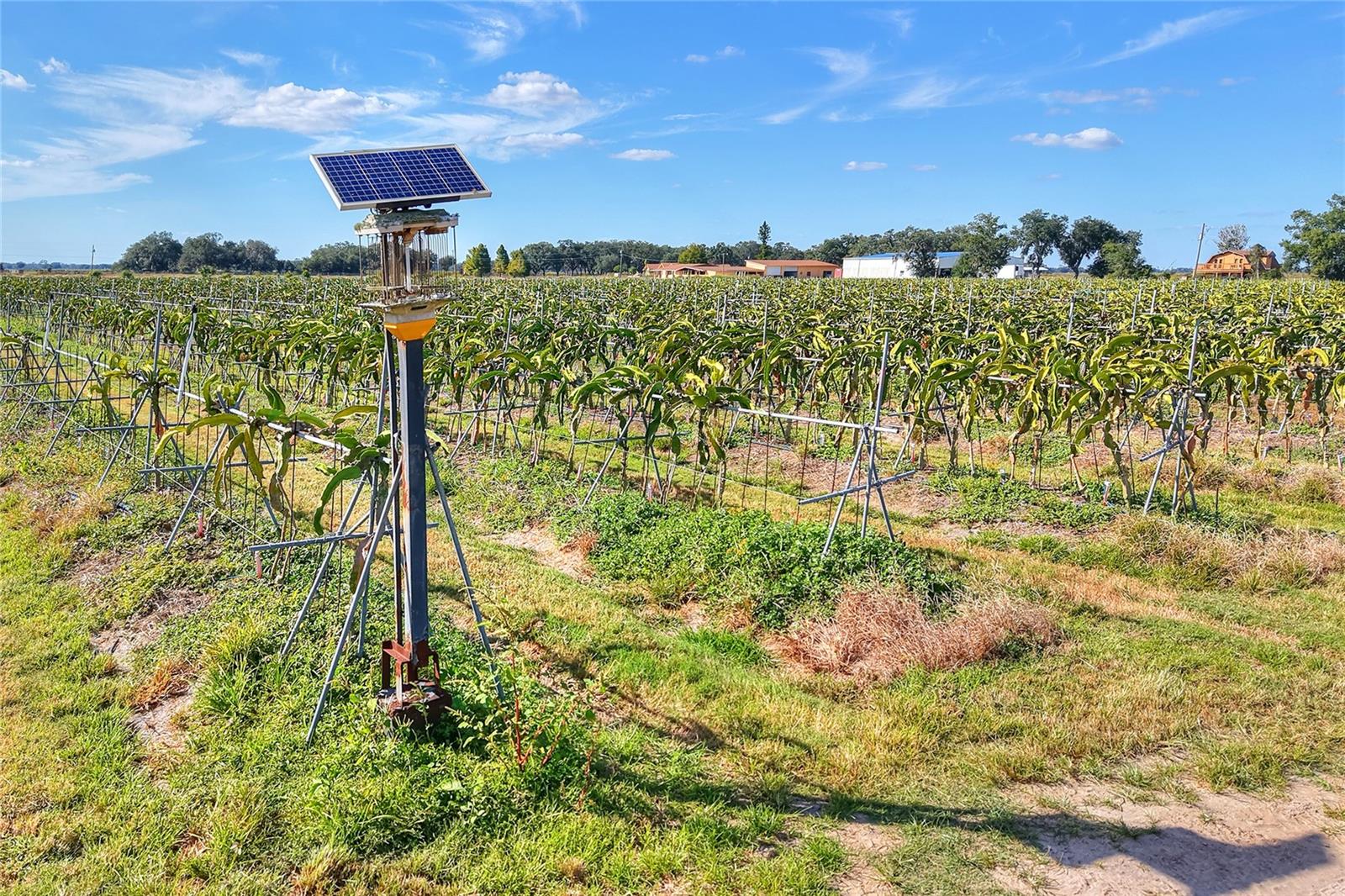 Image 69 of 100 For 6018 County Road 661a