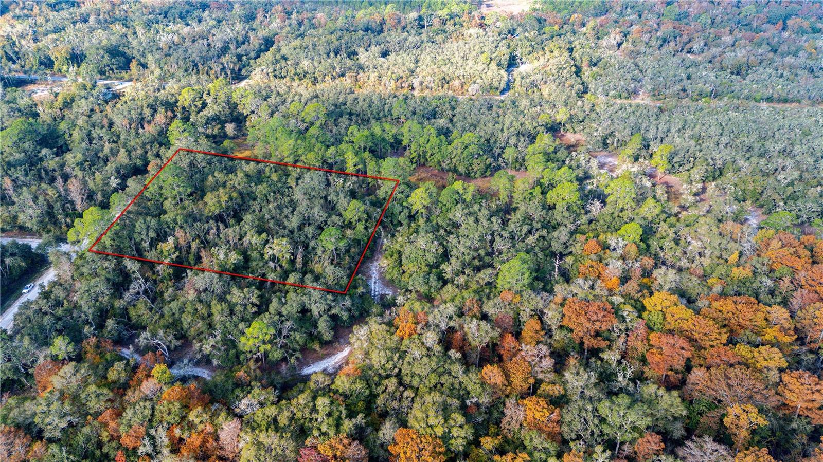 Image 2 of 13 For 0 Rose Bloom Lot 5 Avenue