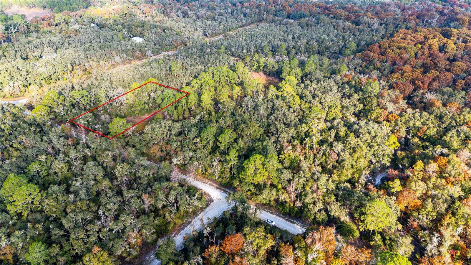 Details for 0 Rose Bloom Lot 7 Avenue, WEBSTER, FL 33597