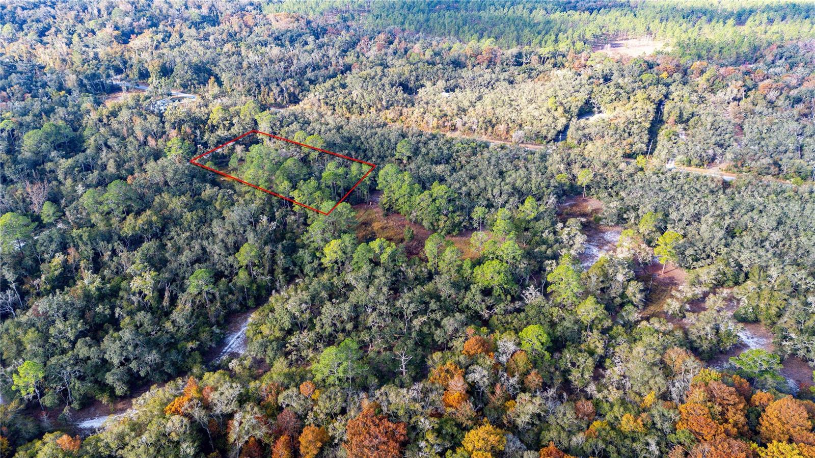 Image 9 of 11 For 0 Rose Bloom Lot 7 Avenue