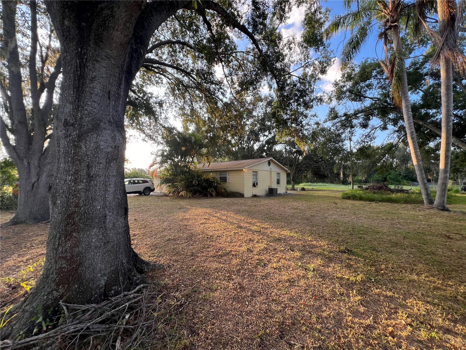 Listing photo id 5 for 9013 Symmes Road