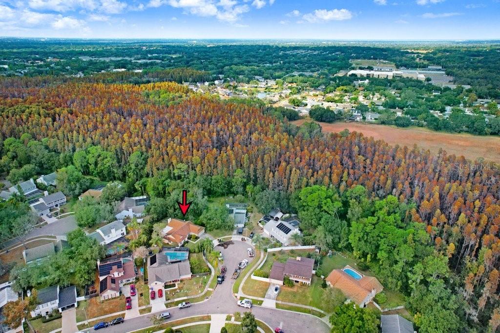 Image 6 of 32 For 3703 Kitmore Place