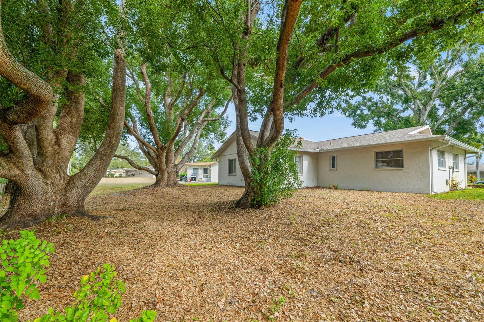 Image 29 of 50 For 142 Stafford Circle