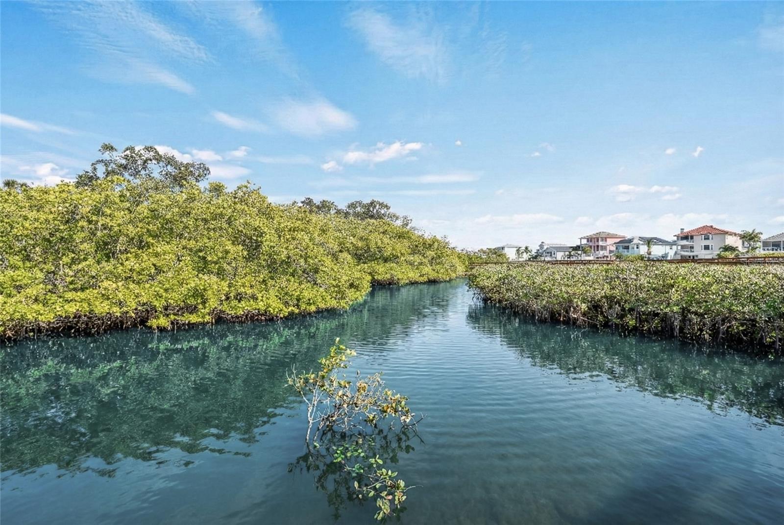 Image 35 of 44 For 4543 Dewey Drive