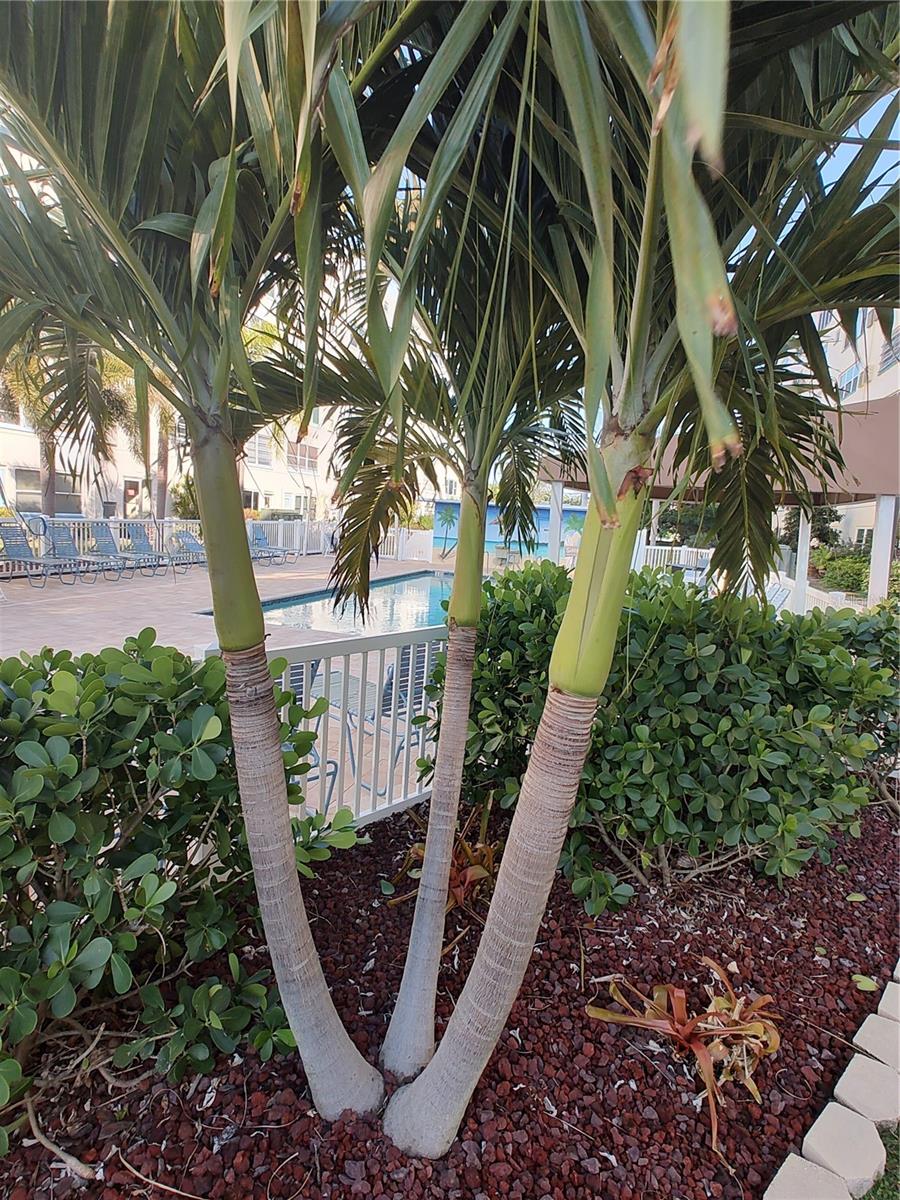 Image 19 of 24 For 2960 59th Street S 107