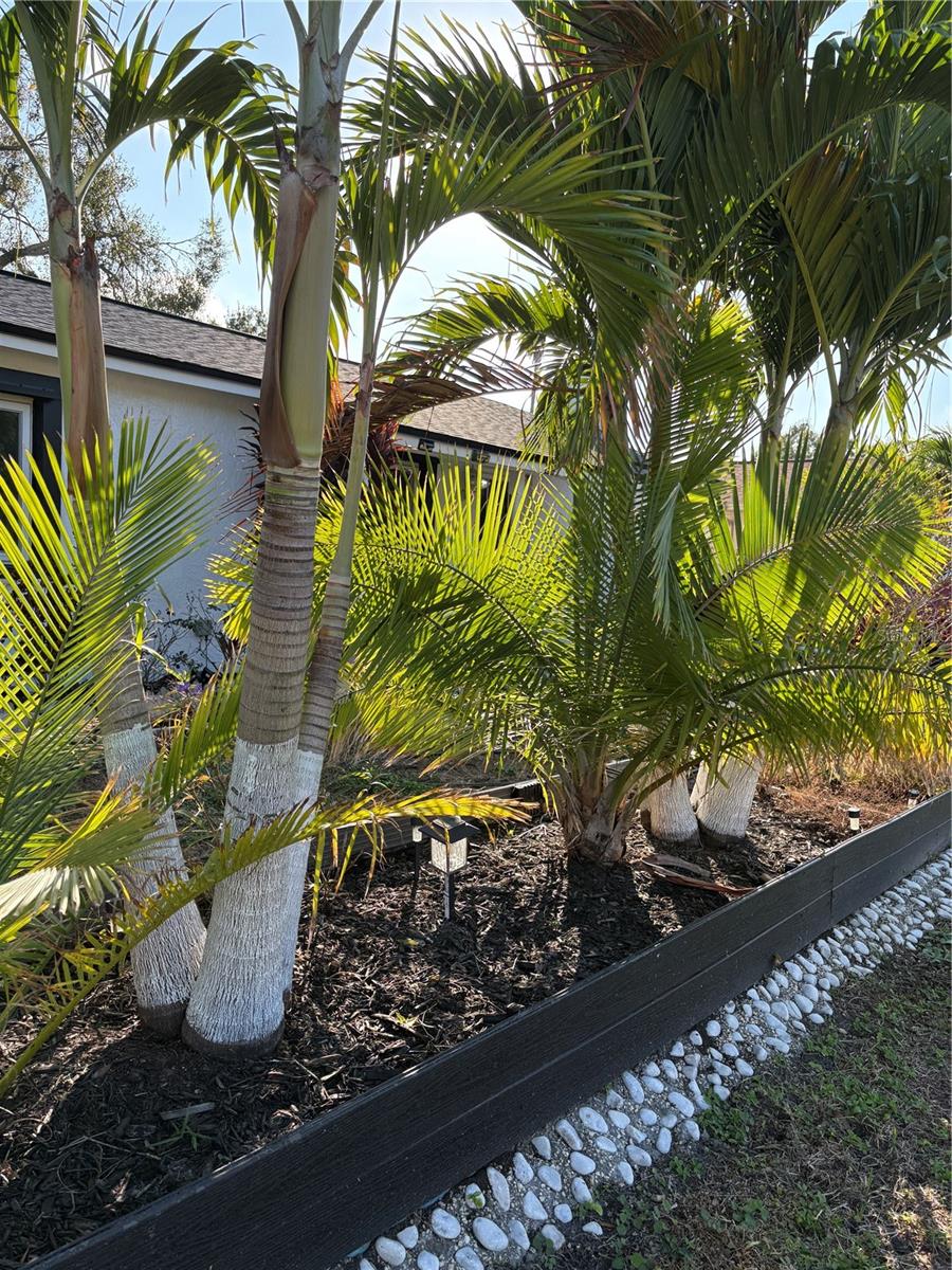 Image 22 of 39 For 6164 97th Terrace N