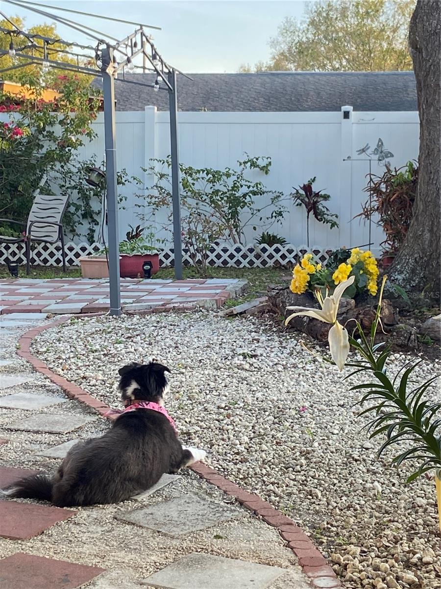 Image 25 of 39 For 6164 97th Terrace N