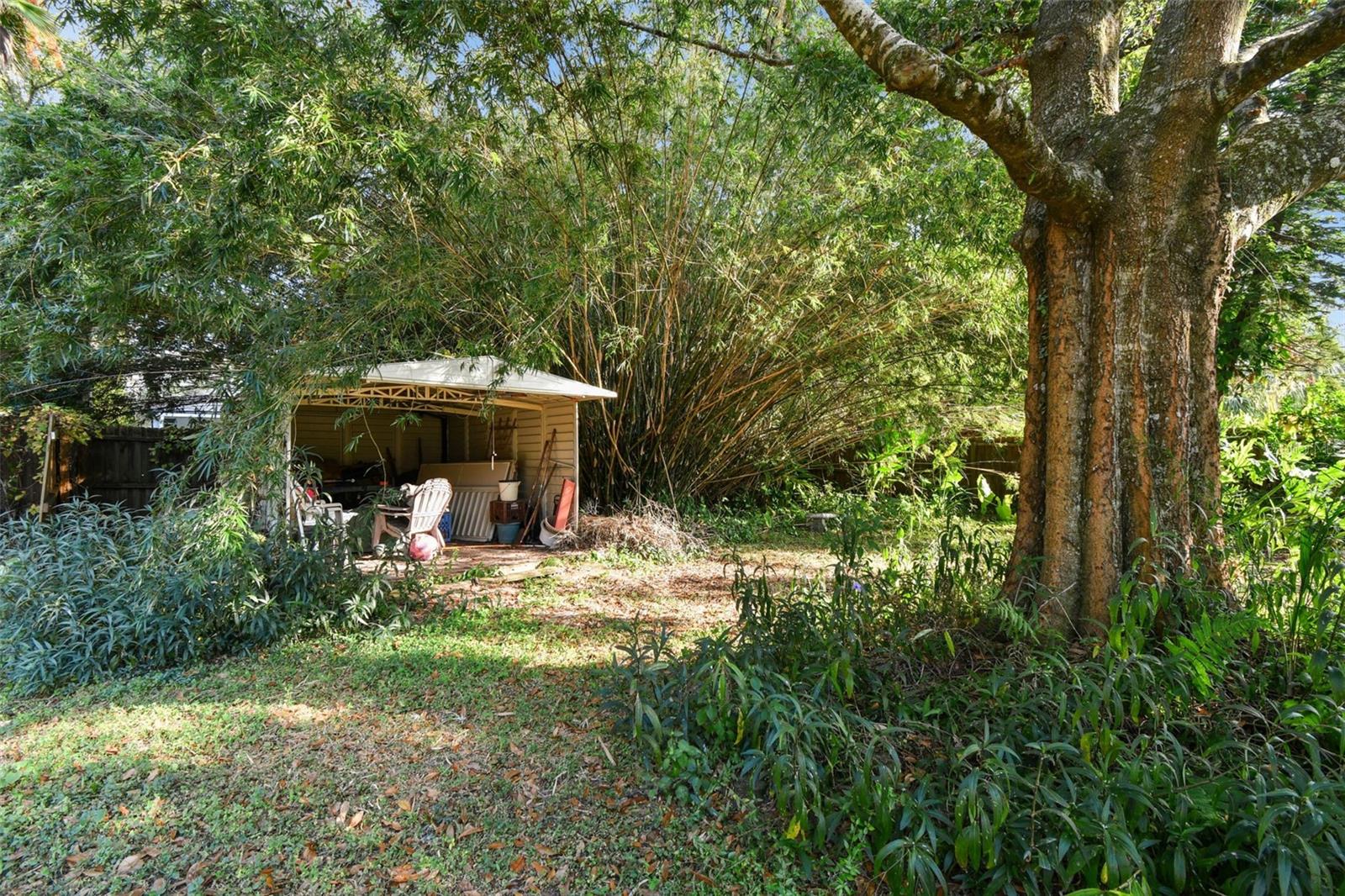 Image 25 of 29 For 8127 Packwood Avenue