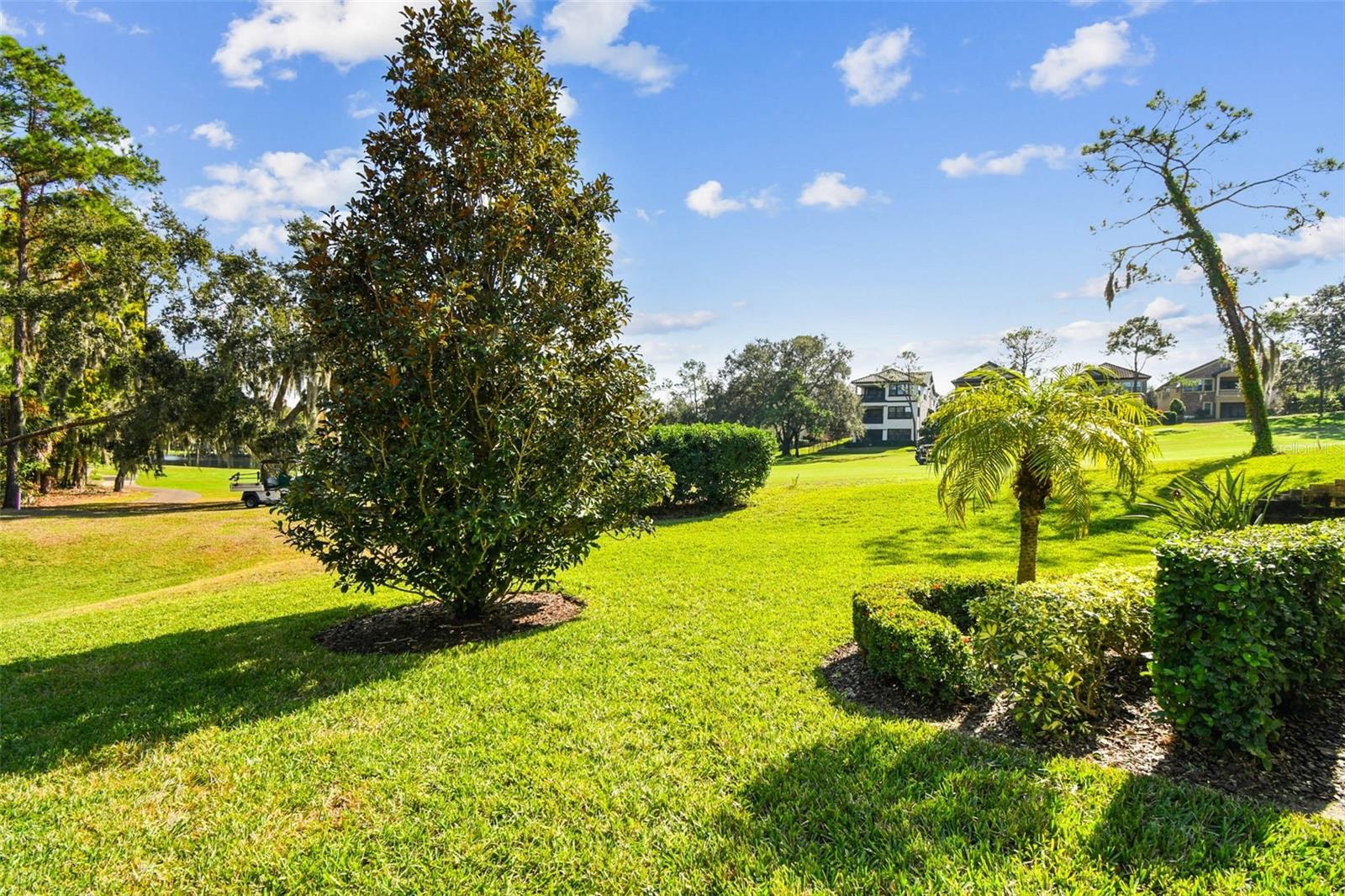 Image 87 of 91 For 1580 Lavello Lane