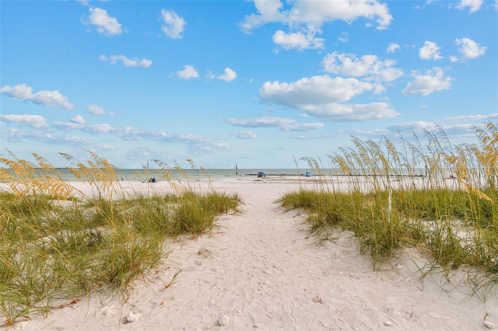 Image 39 of 45 For 1956 Cedar Drive