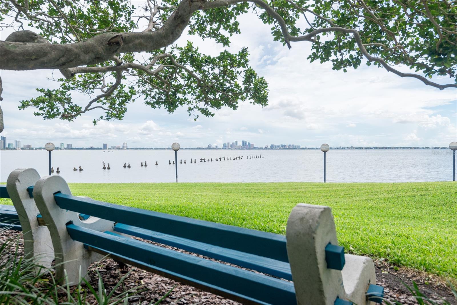 Image 30 of 37 For 5020 Bayshore Boulevard 201