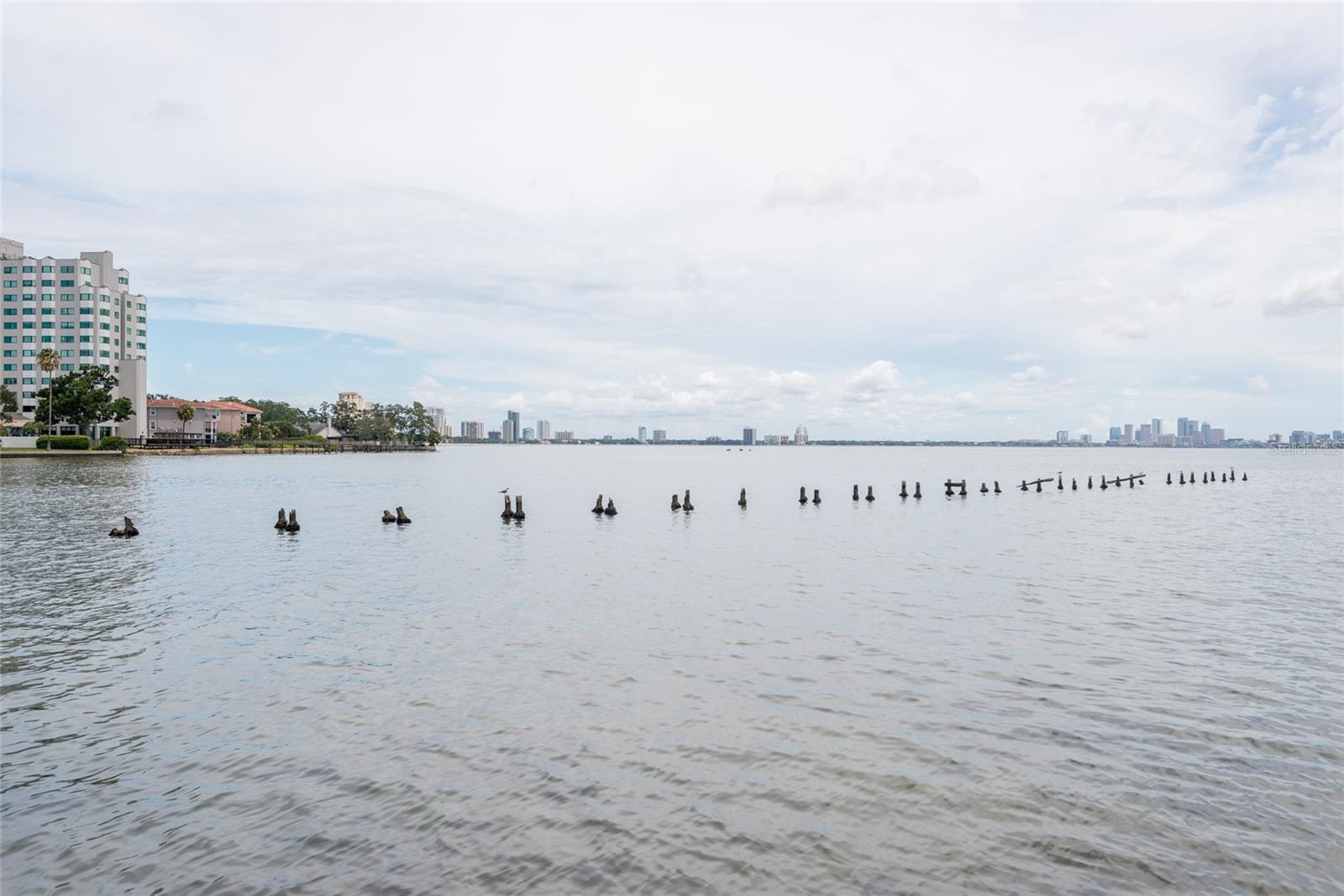 Image 31 of 37 For 5020 Bayshore Boulevard 201