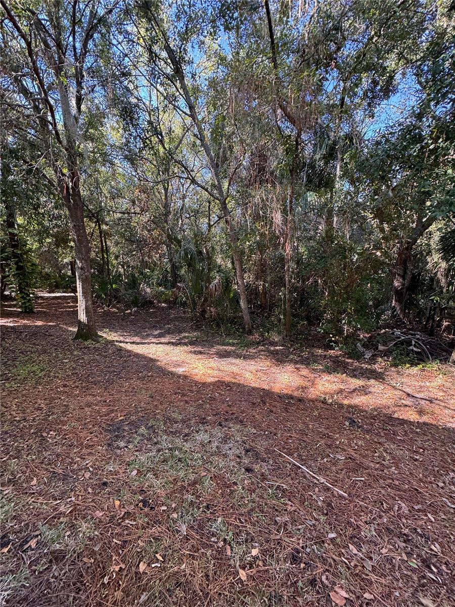 Image 16 of 16 For 6723 Eagle Feather Drive