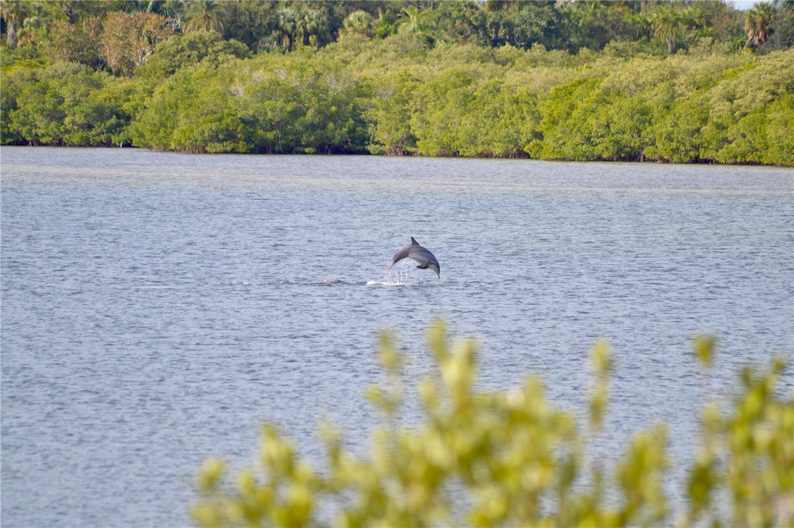 Image 18 of 31 For 5523 2nd Avenue Circle W