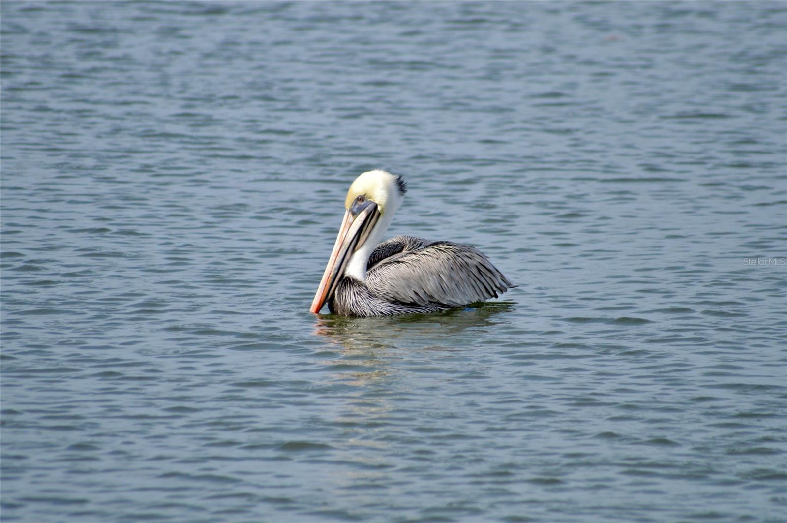 Image 19 of 31 For 5523 2nd Avenue Circle W