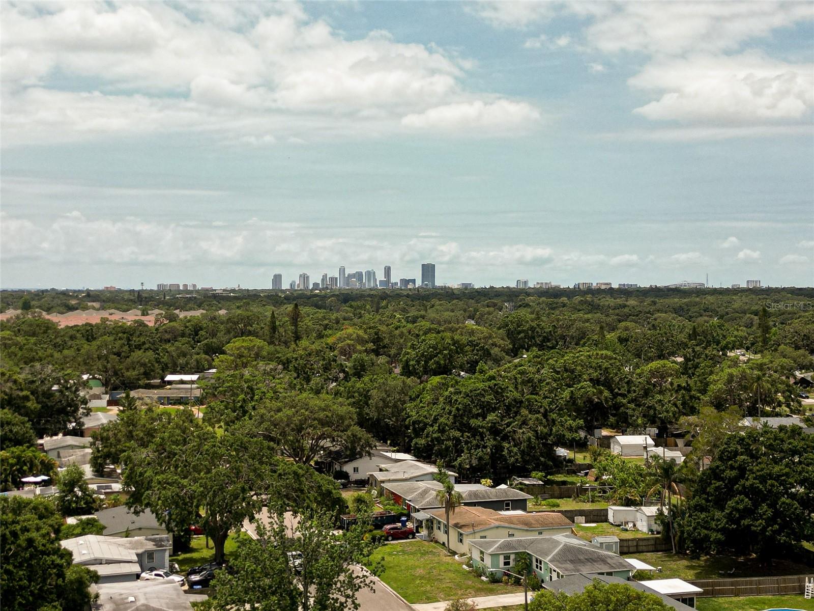 Image 30 of 37 For 771 Murphy Avenue N