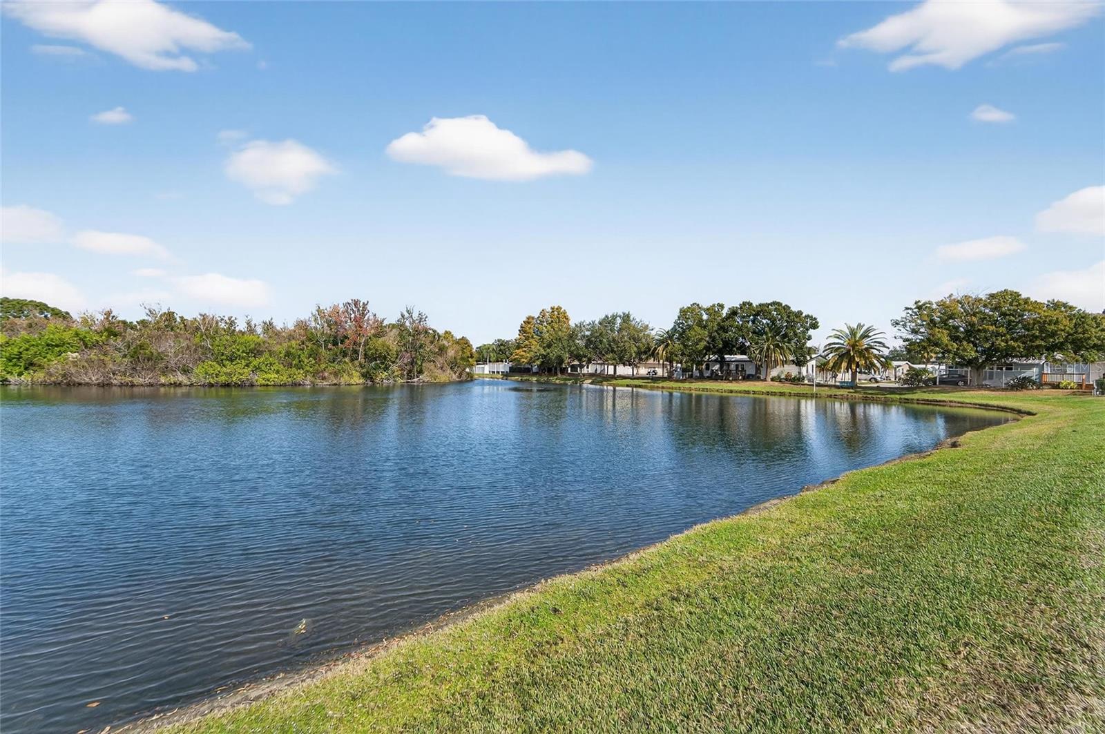 Image 50 of 91 For 1001 Starkey Road, Lot#355