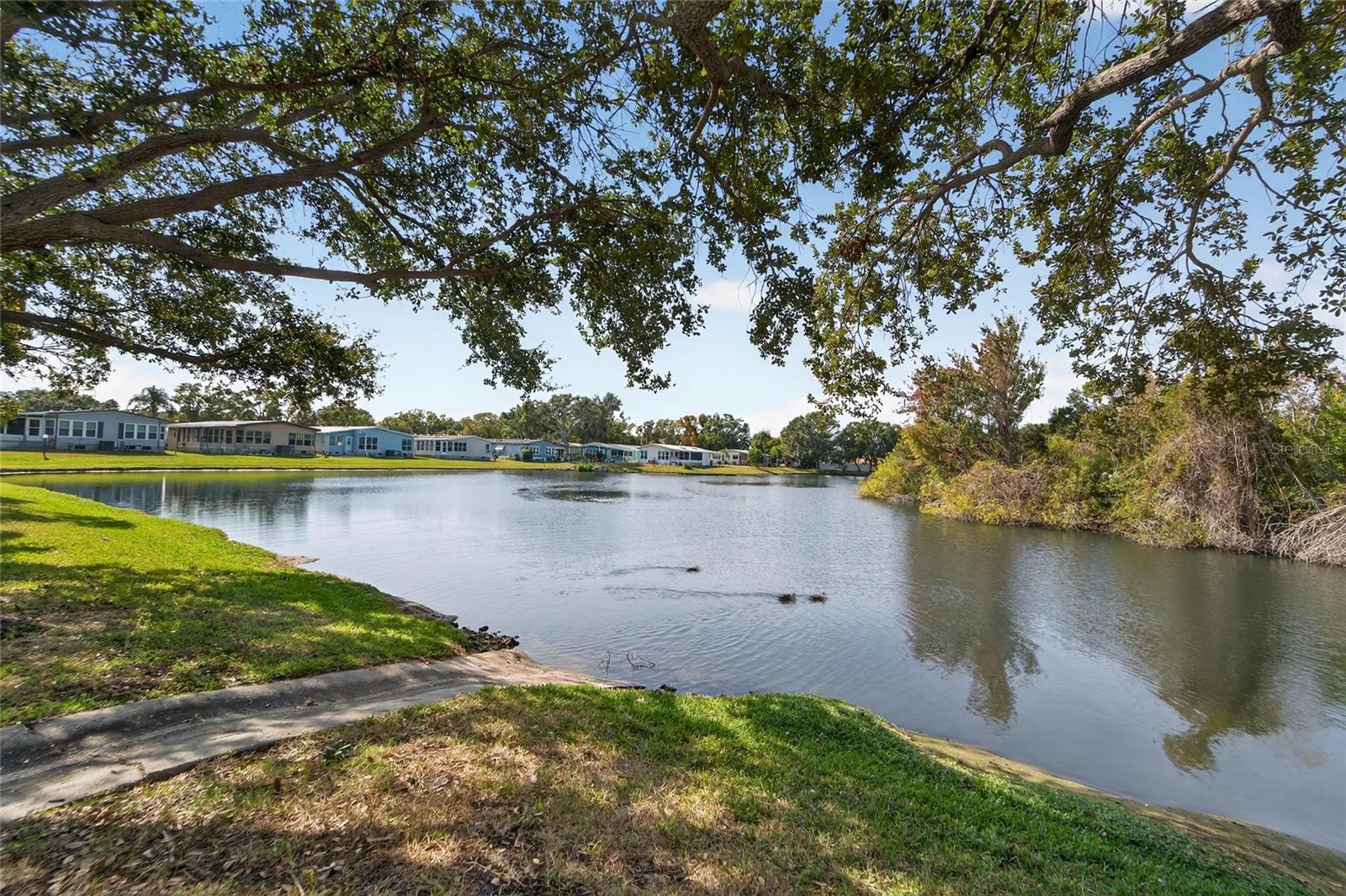 Image 53 of 91 For 1001 Starkey Road, Lot#355