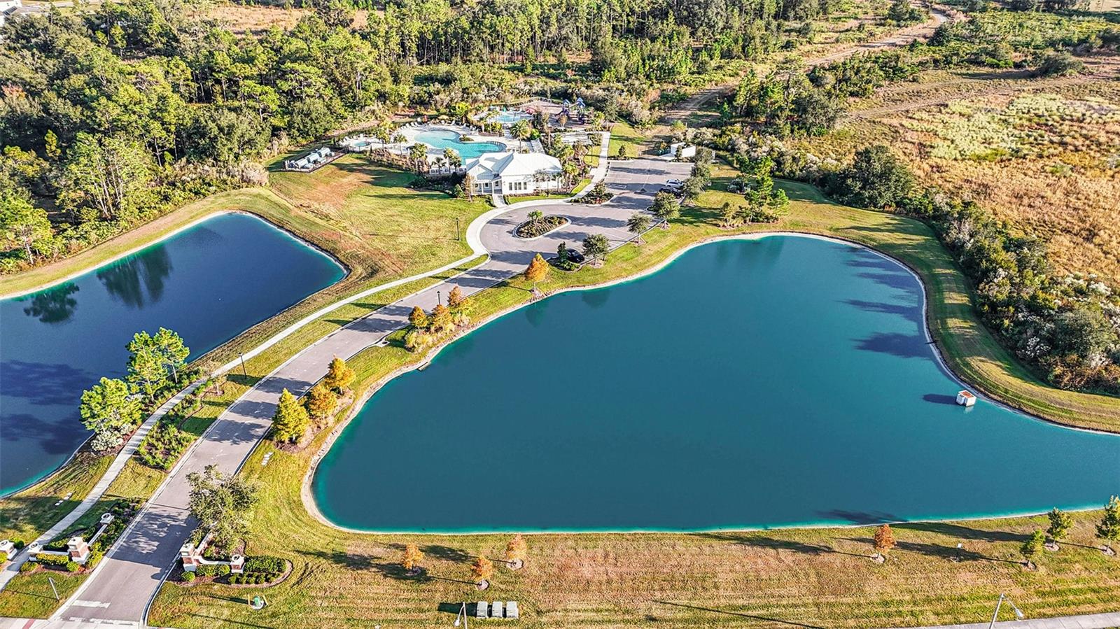 Image 38 of 48 For 33548 Elm Hill Branch