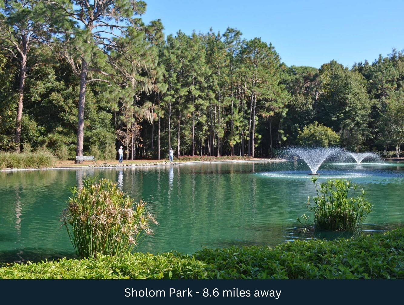 Image 11 of 16 For  45th Lane 