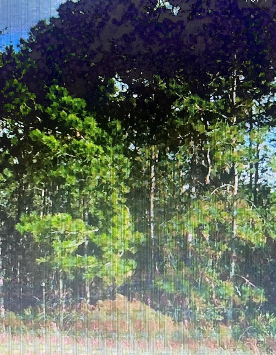 Details for Unassigned Location Re, ARCHER, FL 32618