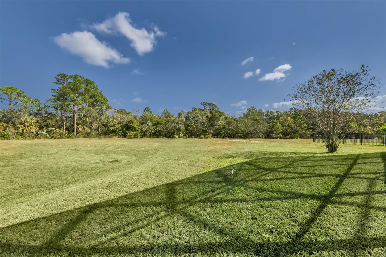 Image 69 of 75 For 723 Cajeput Loop