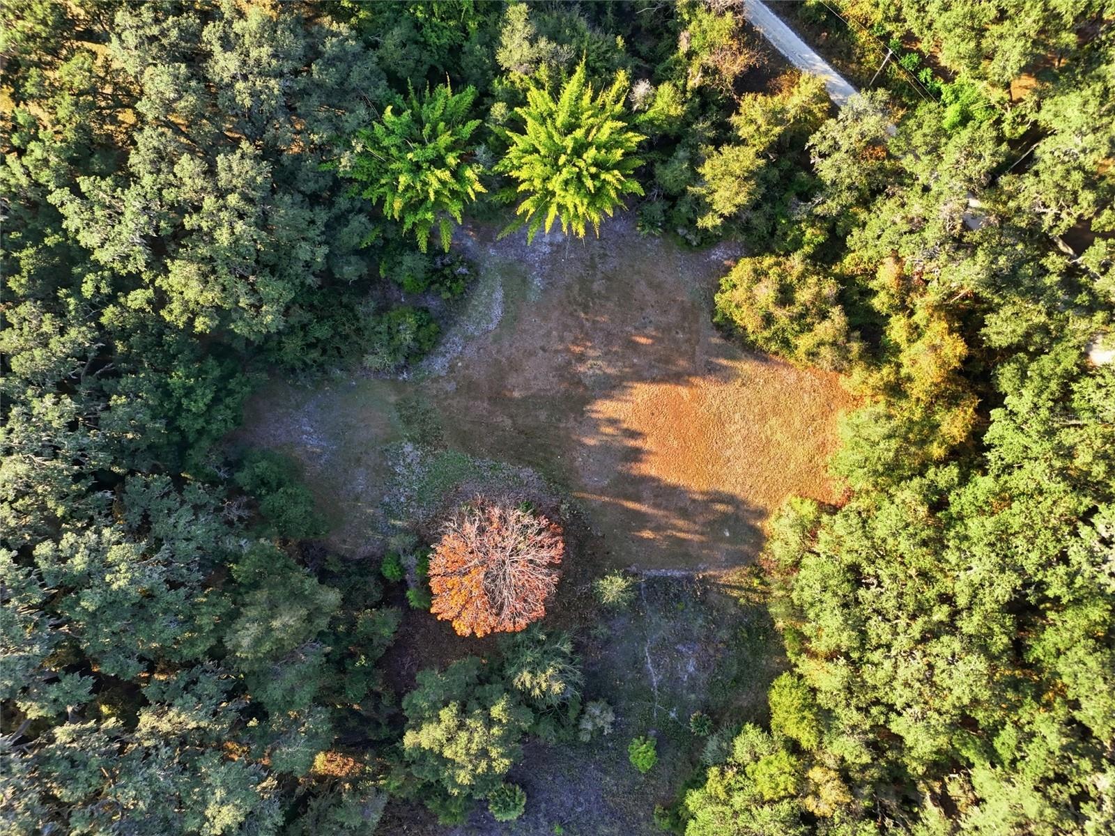 Image 46 of 67 For 10524 75th Way