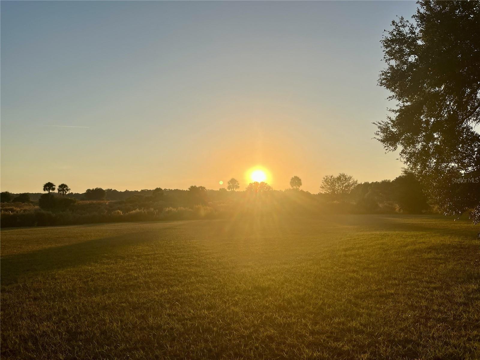 Image 50 of 67 For 10524 75th Way