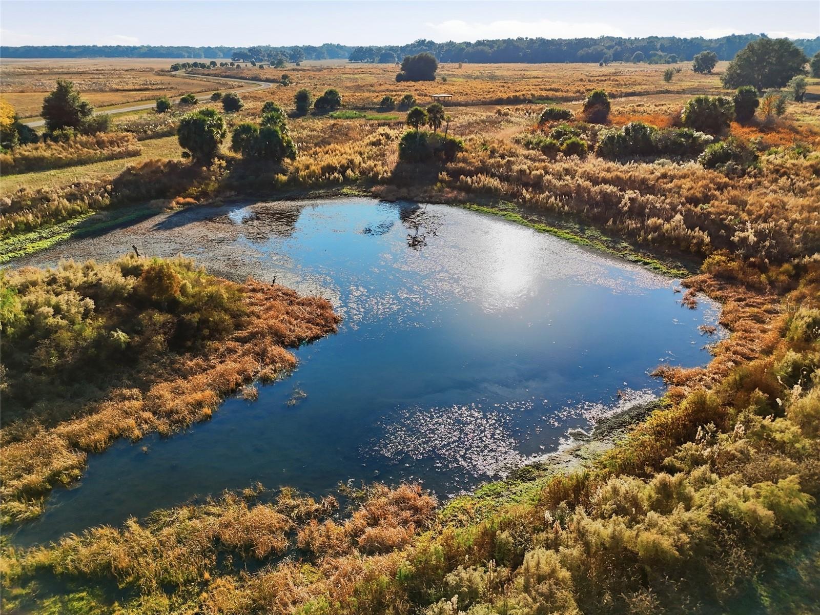 Image 51 of 67 For 10524 75th Way