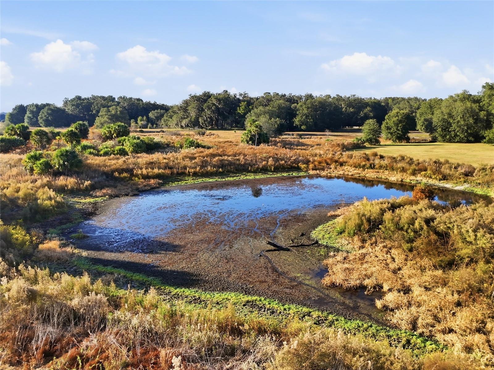 Image 52 of 67 For 10524 75th Way