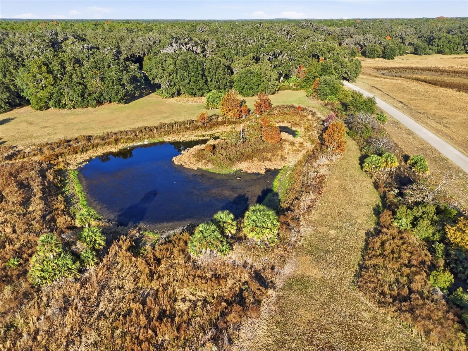 Image 53 of 67 For 10524 75th Way