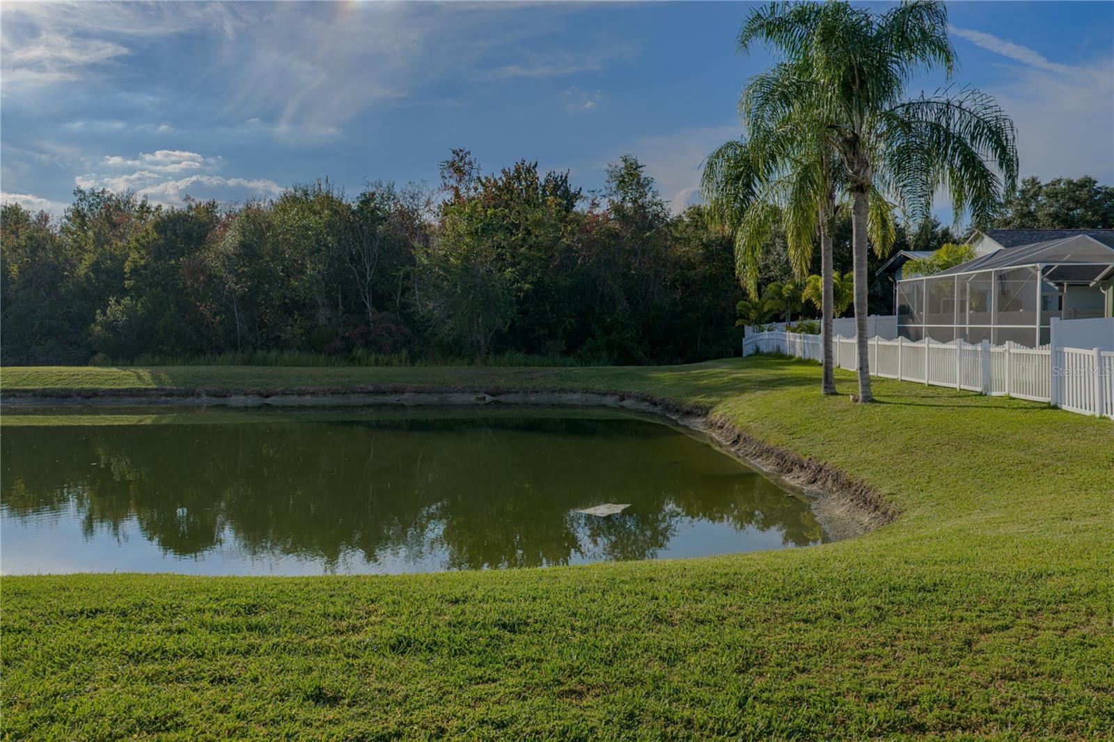 Image 64 of 90 For 4225 Edenrock Place