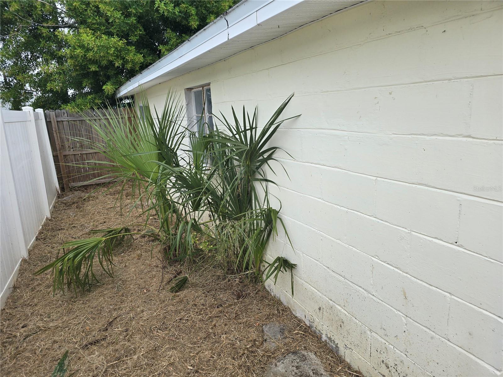 Image 6 of 23 For 14140 Parsley Drive