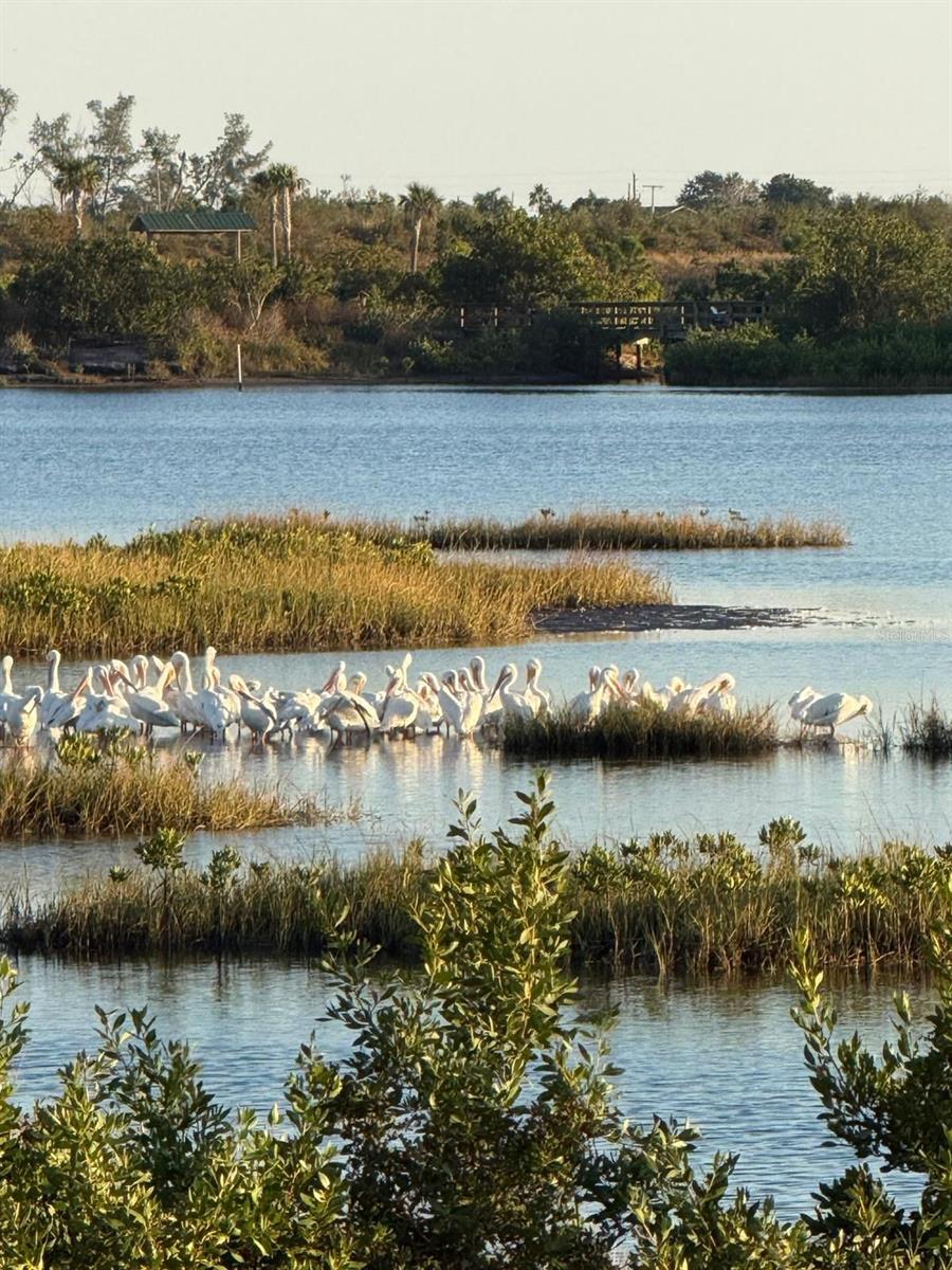 Image 49 of 49 For 1007 82nd Street