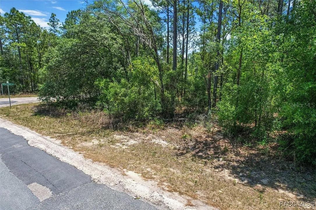 Image 11 of 15 For 9410 Peachtree Way