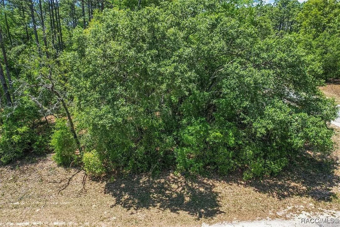 Image 5 of 15 For 9410 Peachtree Way