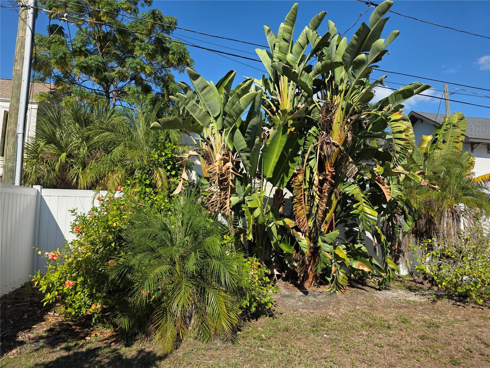 Image 39 of 49 For 775 20th Avenue N