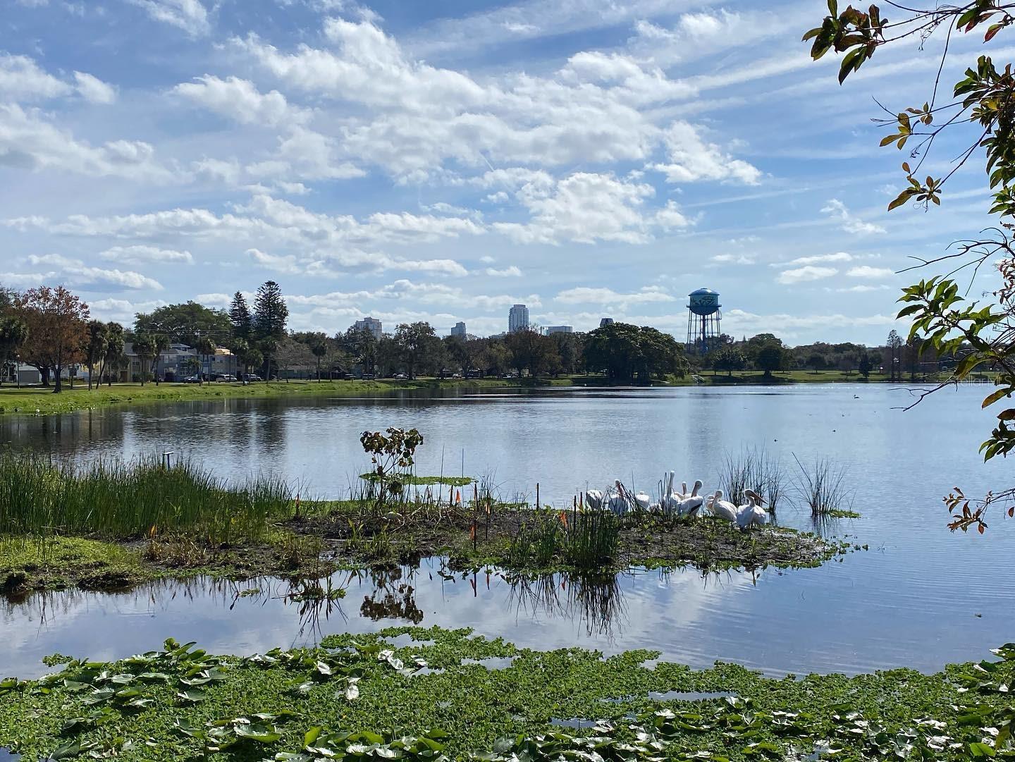 Image 49 of 49 For 775 20th Avenue N