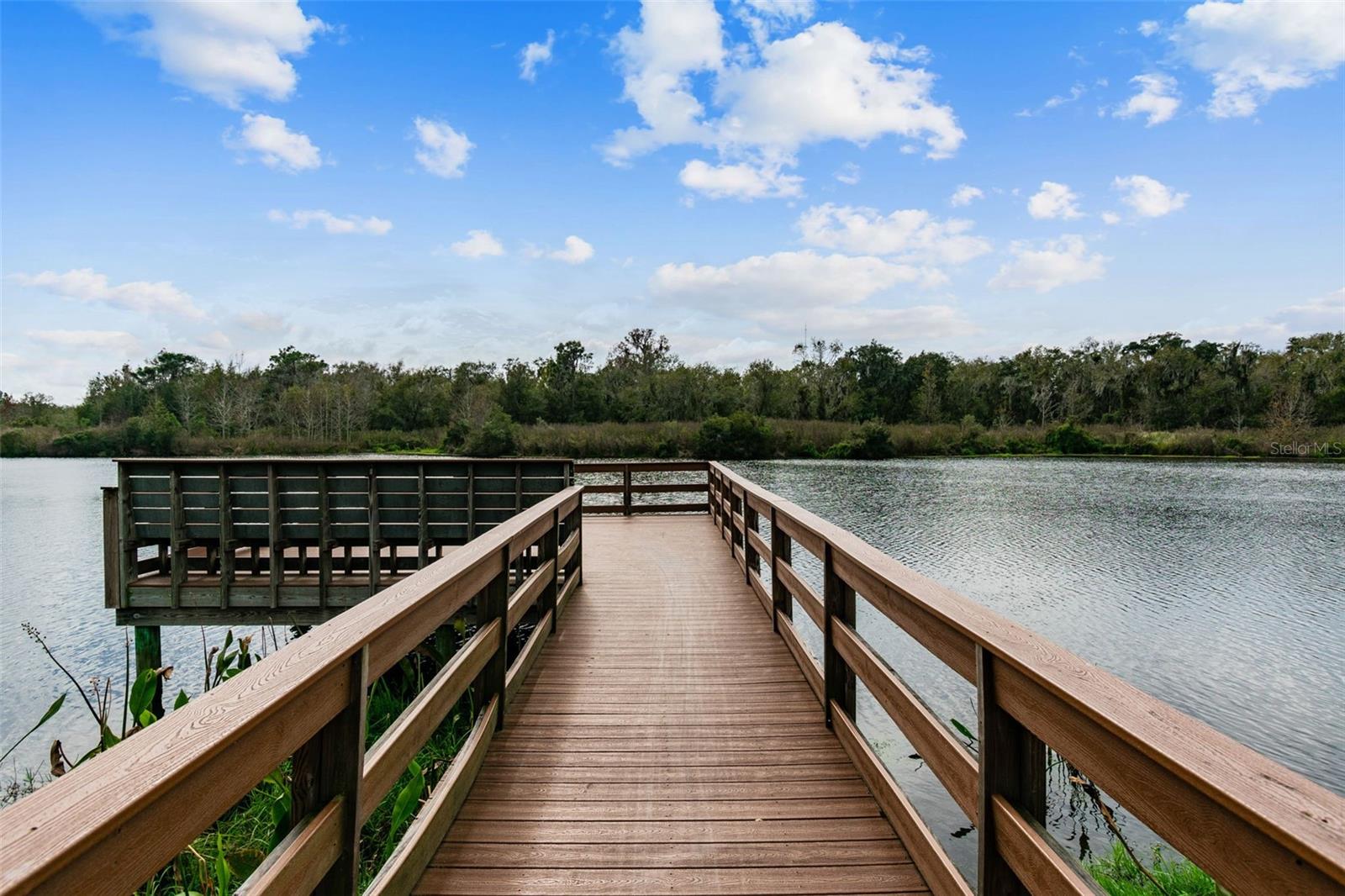 Listing photo id 76 for 14309 Azalea Pond Court